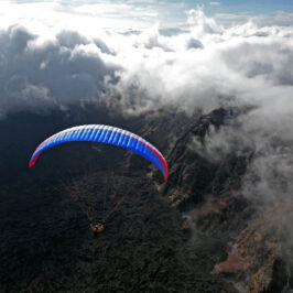 Paragliders