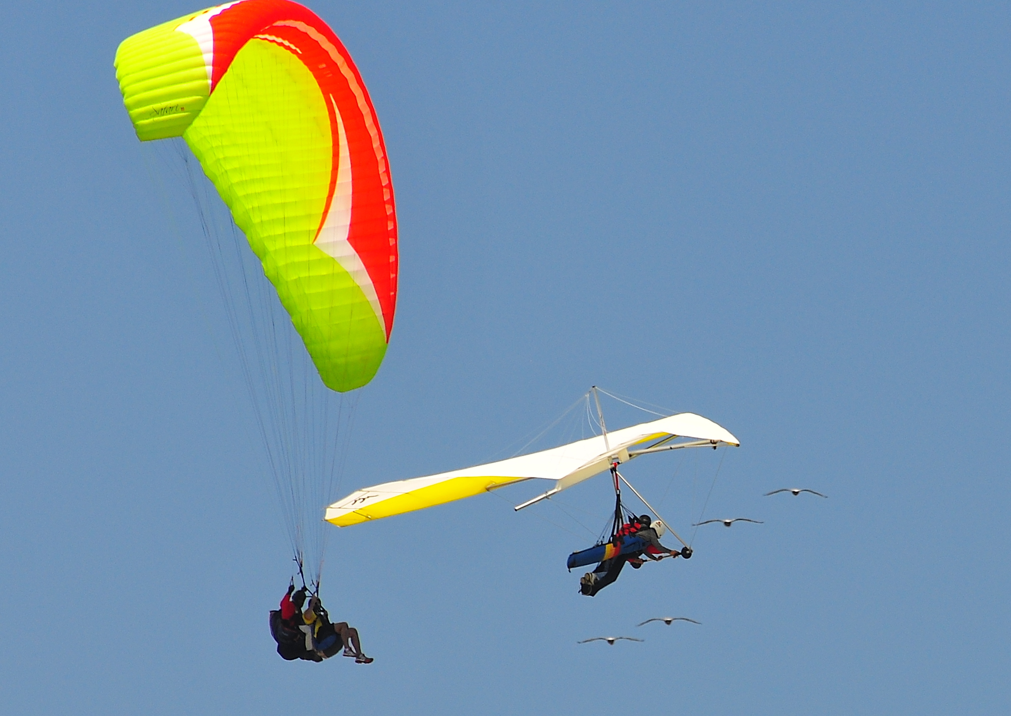 paraglider vs hang glider paraglider vs hang glider