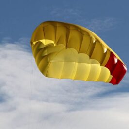 Independence Trigon Reserve Parachute